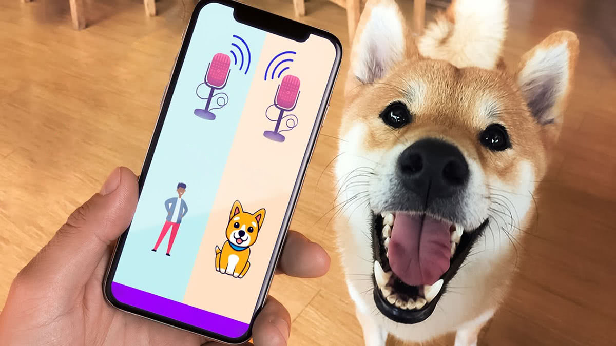 Aplicativo de tradução canina: Saiba como baixar o App de GRAÇA